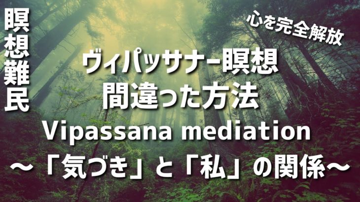 【瞑想難民向け】ヴィパッサナー（マインドフルネス）瞑想の誤解「気づき」と「私」の違い