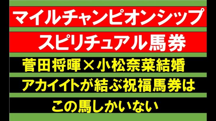 マイルチャンピオンシップ２０２１スピリチュアル馬券