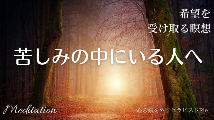 【インナーチャイルドの癒し誘導瞑想】苦しみの中にいる人へ