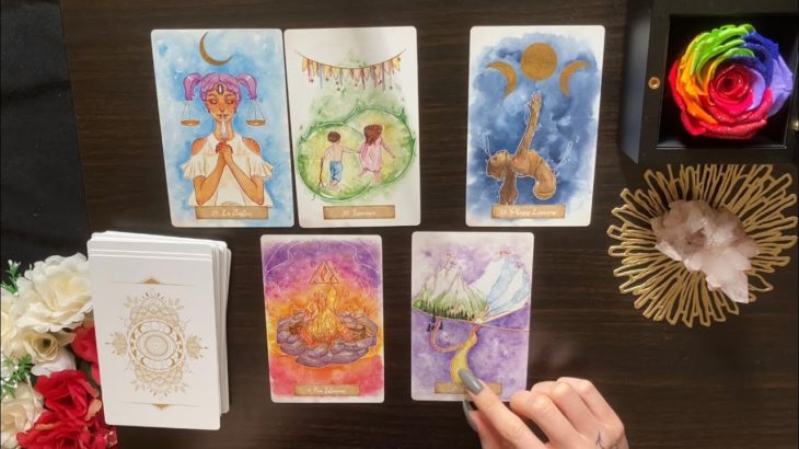 日向ぼっこの様な暖かい日々を過ごす🐈💗🌈 スピリチュアルカードリーディング #タロット #オラクルカード #愛莉トぴんく