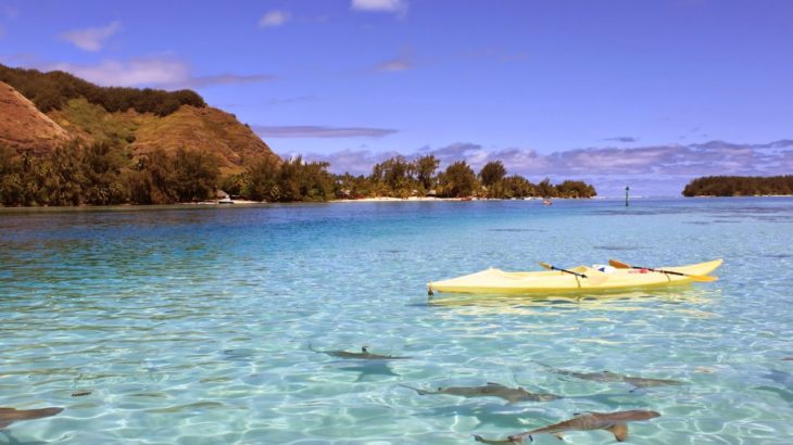 オープンダイアローグとマインドフルネス