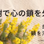 【インナーチャイルドの癒し誘導瞑想】感謝で鎖を外す