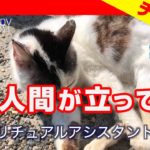 漫画家がスピリチュアルにハマるワケ【ディスカバリーレイジチャンネル】