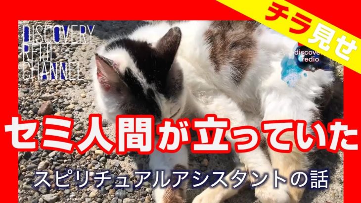 漫画家がスピリチュアルにハマるワケ【ディスカバリーレイジチャンネル】