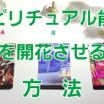 106.@Vivian🍀裏🍀leading 【✨宇宙人発見✨】スピリチュアル能力を開花させる方法🍀