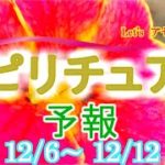 エネルギーに敏感な人のための週間スピリチュアルエネルギー予報12/6(月)～12/12(日)