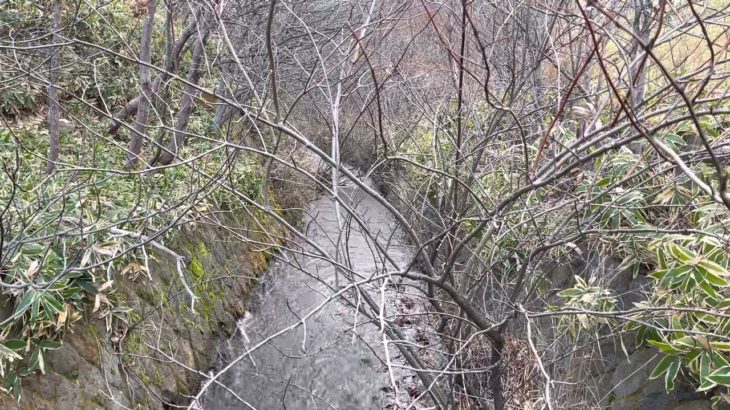 (自然音) 自然の音でリラックスする5分間  ※瞑想 ※安眠 ※読書 ※勉強 ※作業