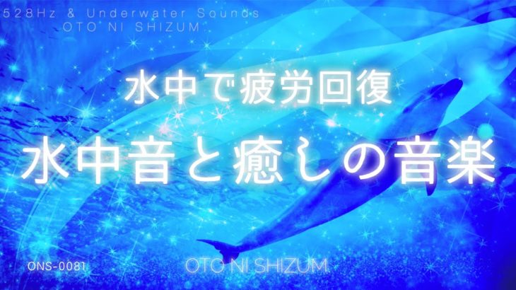 【睡眠用BGM・水中 音・528Hz 】水中で癒されぐっすり眠る。水の音で疲労回復する睡眠用音楽 | ソルフェジオ周波数 | 自然音 | ONS-0081