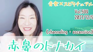 【赤鼻のトナカイ】Vol.599  2021/12/4   音楽×スピリチュアル《ascension・channeling》💖オラクルタロットリーディング💖
