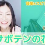 【サボテンの花】音楽×スピリチュアル《guidance💖》オラクルタロットリーディング🌈高次元メッセージ🌈Vol.604   2021/12/10