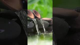 自然の音でリラックスできる音楽竹の泉[癒しのバックグラウンドミュージック] #shorts