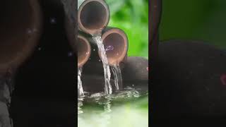 自然の音でリラックスできる音楽竹の泉[癒しのバックグラウンドミュージック] #shorts