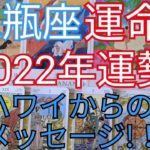 【占い】タロット&ハワイスピリチュアルカードリーディング!!