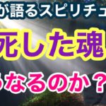 自死した魂はどうなるのか？【ゲイが語るスピリチュアル】