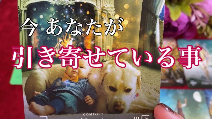 ✨今 あなたが引き寄せている事✨#オラクルカードリーディング #タロット #スピリチュアル #個人鑑定リーディング