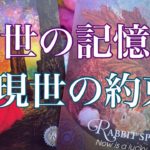 ✨前世の記憶 現世の約束✨#オラクルカード #タロット #スピリチュアル #チャネリング #占い #個人鑑定リーディング