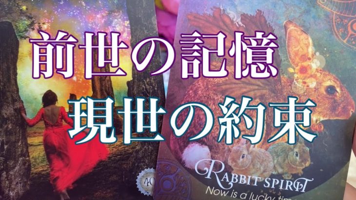 ✨前世の記憶 現世の約束✨#オラクルカード #タロット #スピリチュアル #チャネリング #占い #個人鑑定リーディング