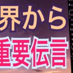 神界から超重要伝言‼️オラクルカードリーディング✨スピリチュアルカードリーディング✨チャネリング✨３択✨占い✨