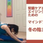 腎臓ケアのための、冬の陰ヨガ