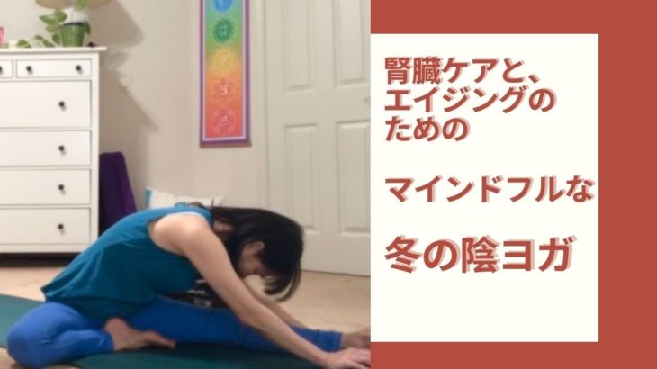 腎臓ケアのための、冬の陰ヨガ