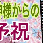 【嬉しい事】龍神様からの🐉予祝‼️ありがたい事です😌🙏怖いほど当たる✨オラクルカードリーディング✨スピリチュアルカードリーディング✨占い✨３択✨