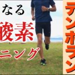 長距離走が速くなるための有酸素ランニング「テンポラン」を解説
