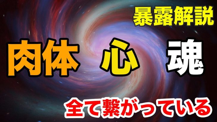 肉体と心と魂は密接に関わっている！！【スピリチュアルトーク】