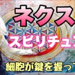 ネクストスピリチュアル　にゅー子のダラダラトーク