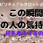 [スピリチュアルタロット占い]🌈今、この瞬間のあの人の気持ち🔮(あの人は今、何を考えているの❔）