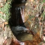 滝：マエナスイオン&ヒーリング(スピリチュアル)生駒国定公園清流の滝