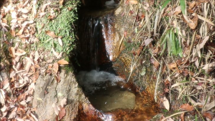 滝：マエナスイオン&ヒーリング(スピリチュアル)生駒国定公園清流の滝