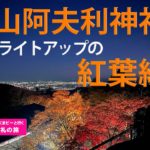 【スピリチュアル登山部】大山阿夫利神社紅葉ライトアップ（後編）