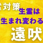 【スピリチュアル スクール 愛知】 生霊対策｜生霊は生まれ変わる前の遠吠えだ。そんな生霊に○○をして！｜スピ・ワンポイントアドバイス（チャネリングにて聞いてみた）