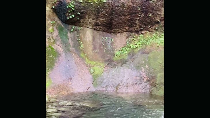 【瞑想音薬】癒しと浄化の水の音特集withコシチャイム