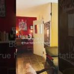 マインドフルネスの練習から1日始めてみる