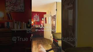 マインドフルネスの練習から1日始めてみる