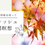 【マインドフルネス瞑想】リフレッシュする10分間瞑想