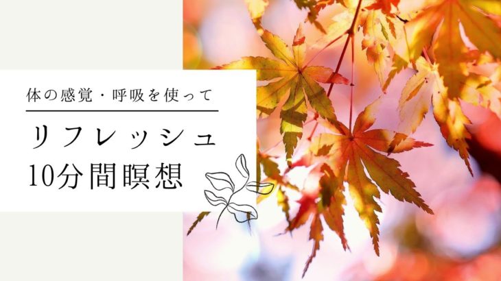 【マインドフルネス瞑想】リフレッシュする10分間瞑想