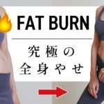 【滝汗10分】 みるみる脂肪が燃える究極の全身痩せトレーニング – RISE #531