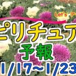 エネルギーに敏感な人のための週間スピリチュアルエネルギー予報1/17(月)～1/23(日)