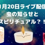 1月20日ライブ配信／虫の知らせとスピリチュアル／ハワイのスピリチュアルカウンセラーエリー