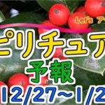 エネルギーに敏感な人のための週間スピリチュアルエネルギー予報12/27(月)～1/2(日)