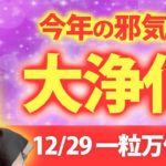 【最強デトックス】12月29日一粒万倍日💖この日に流れる浄化力は特別に強力です✨