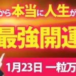 【1月23日】これをやれば確実に運気超UP💖運気と金運を信じられないほど底上げさせましょう✨