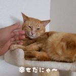 酔っ払いスピリチュアル♥2022年初日の出in北海道はマジで美しい……