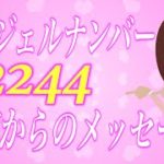 【スピリチュアル】エンジェルナンバー2244が示すツインレイへの重要なメッセージ。天使の導き3選。