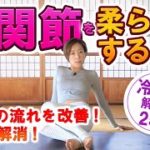 【初めてヨガ25分】股関節を柔らかくする！　BirdsYoga＃66