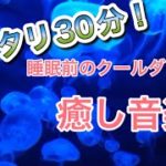 癒しの音楽　ピッタリ30分！時間管理にも使える！睡眠の導入材や運動の時に最適！