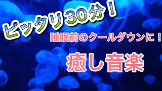 癒しの音楽　ピッタリ30分！時間管理にも使える！睡眠の導入材や運動の時に最適！
