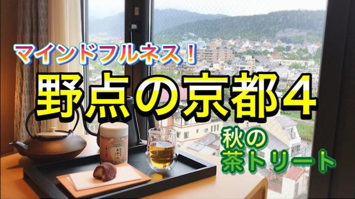 【お茶旅】野点の京都4〜マインドフルネス！茶トリート〜(茶遊人まさよさまー！第94回)